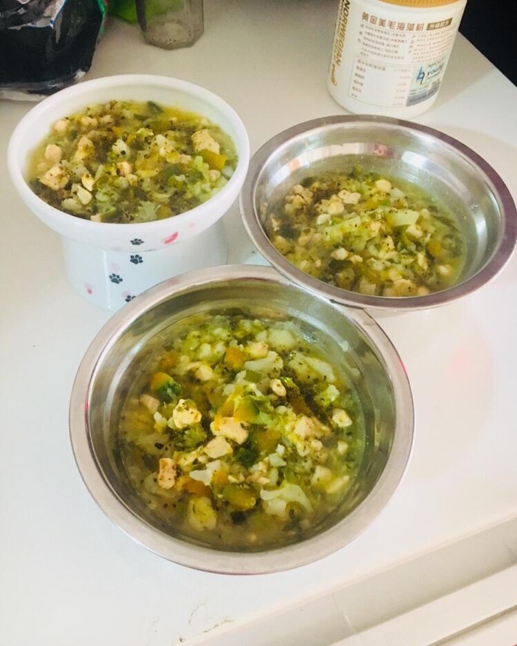 狗狗鲜食——色彩的密码