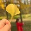 小苏苏的果实