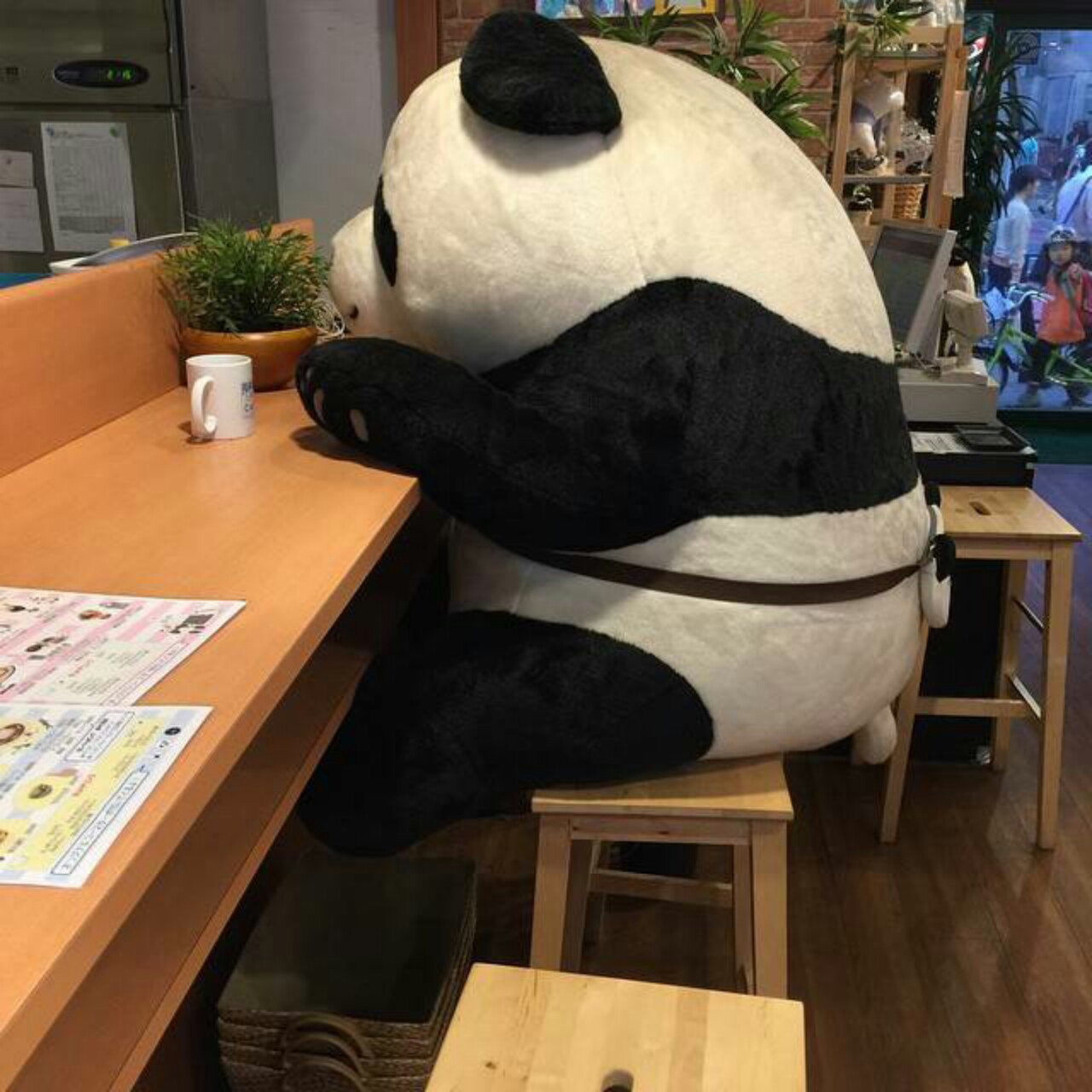 羊小厨呦