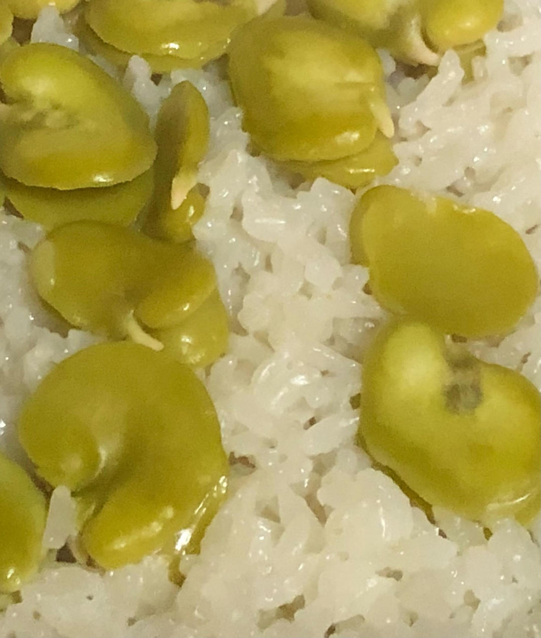 蚕豆焖饭