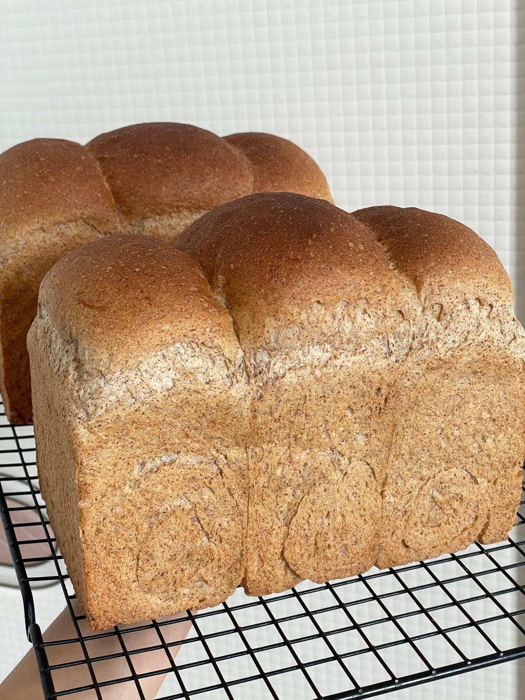 波兰种黑全麦吐司！黑全麦也可以如此柔软！