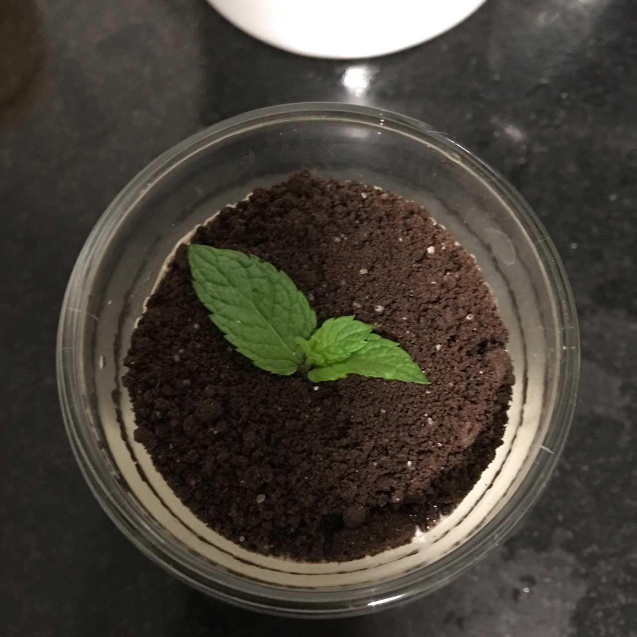 酸奶奥利奥水果盆栽