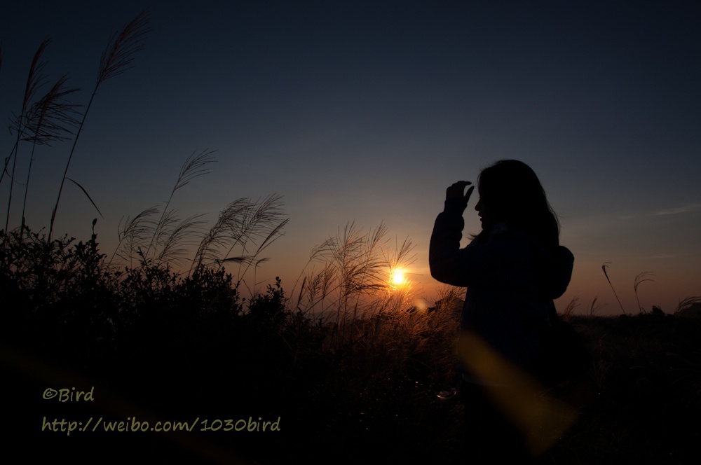 早起的虫儿给小黄鸟粗！的做法