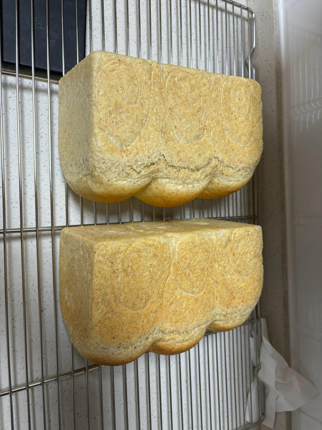 40%全麦吐司🍞（波兰种）