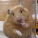 微信用户_鸢枳7pO8