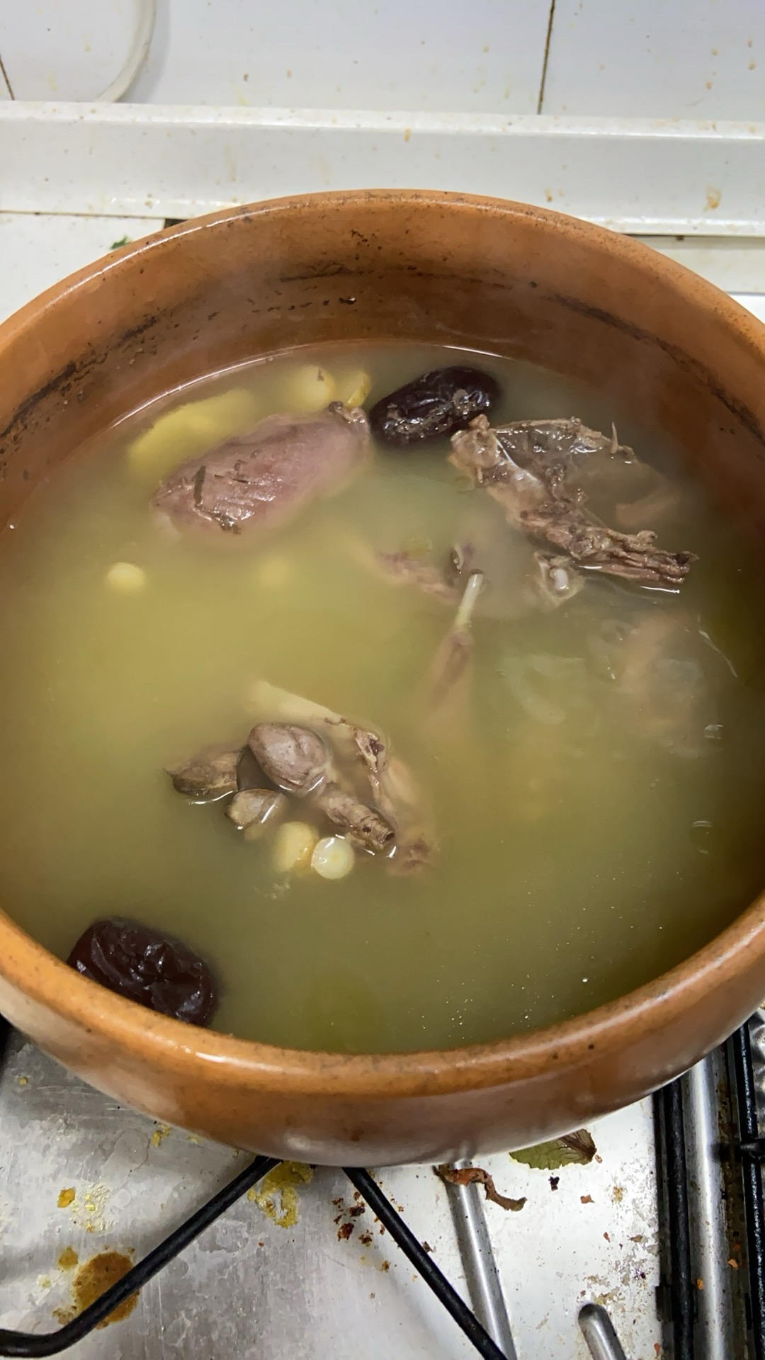 药膳鸽子汤的做法