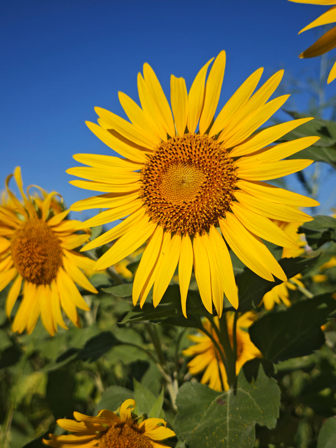 辰妈的美食记录