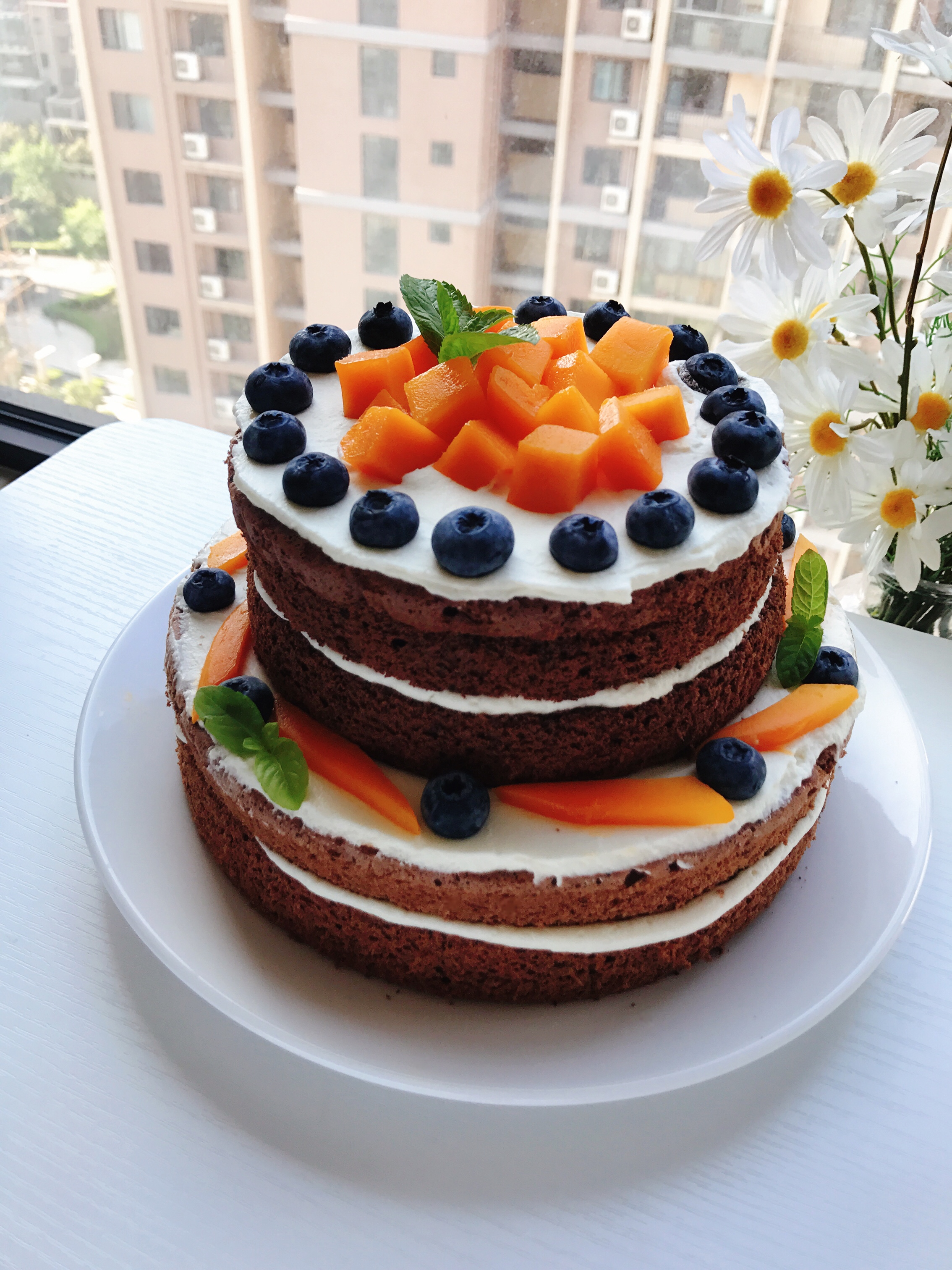 双层芒果蓝莓可可裸蛋糕的做法
