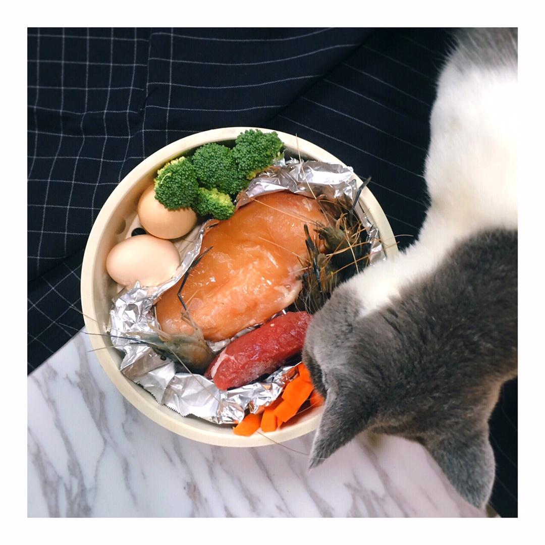 史方乐做的喵星人的猫饭