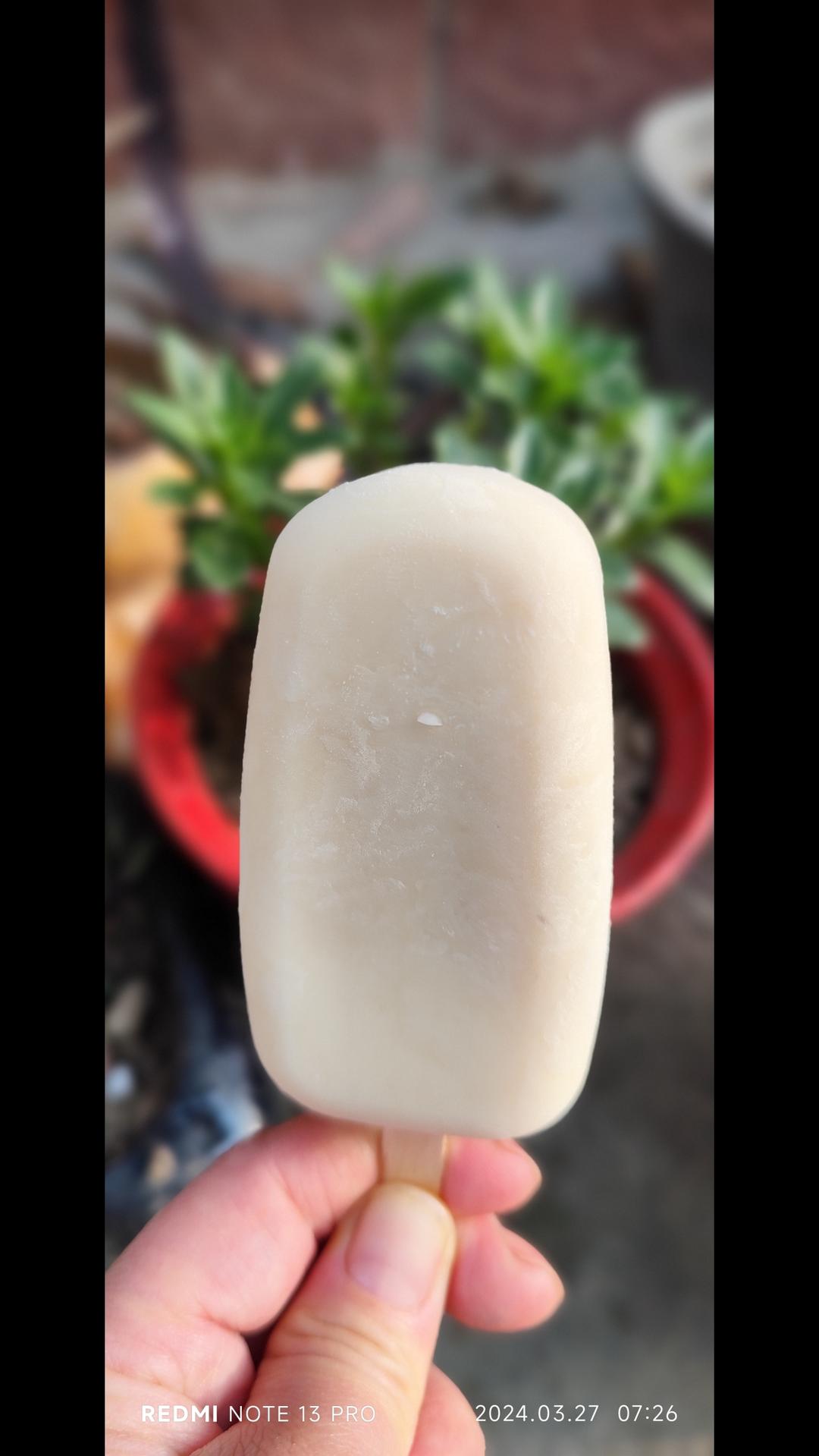 童年最爱.奶油小布丁