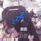 WUli团子