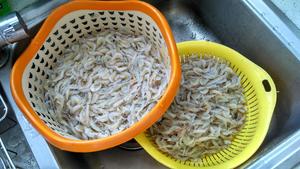 盐水白米虾（小白虾）的做法 步骤1