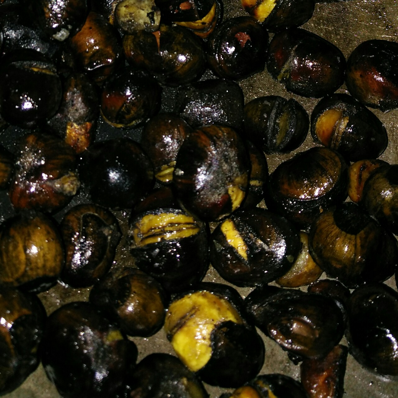 慵懒美丽的栗子