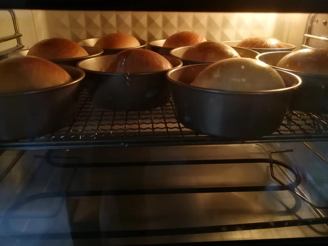冷藏法快速出膜一次发酵大吐司🍞