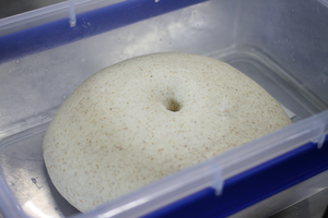 燕麦全麦面包，外面脆脆的里面绵软的，热量还很低的做法 步骤7