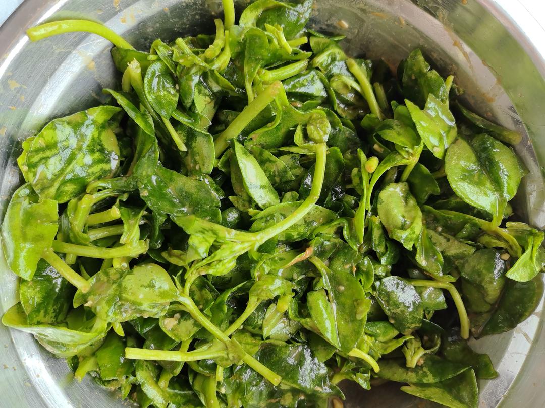 芝麻酱拌穿心莲