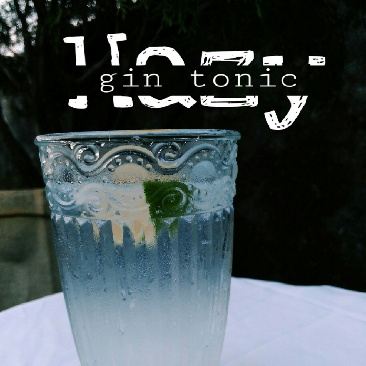 gin tonic 金汤力