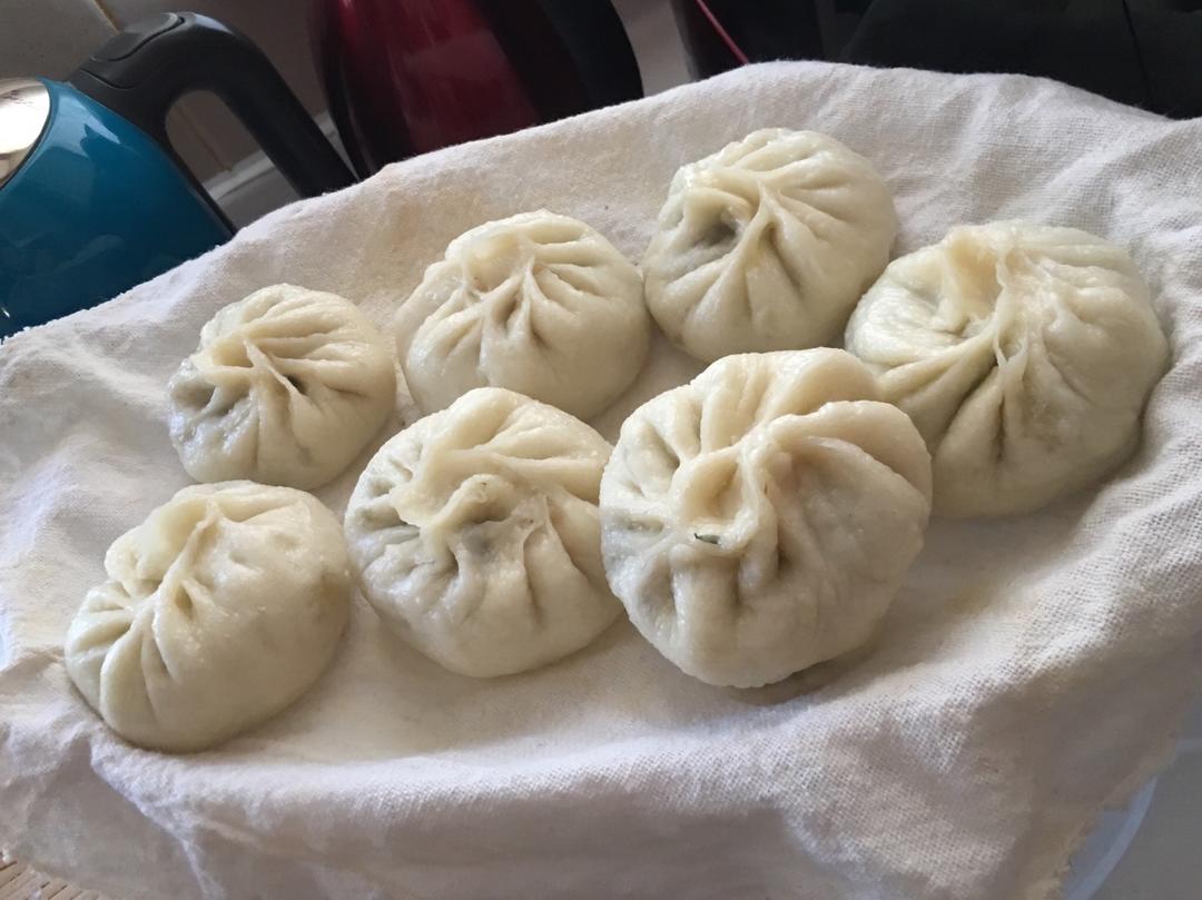 节省一半时间的大包子（另付翠绿菜包子，肉包子，腹黑包子食谱）