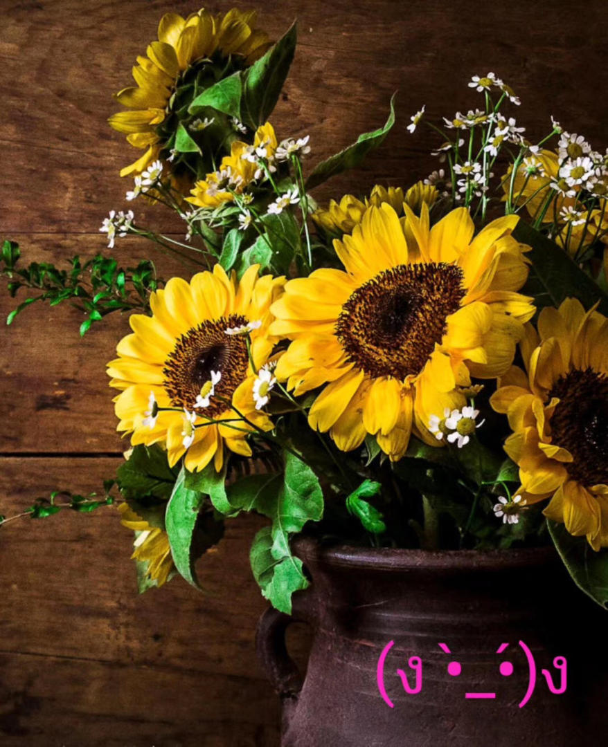 不会硬皮的雪媚娘