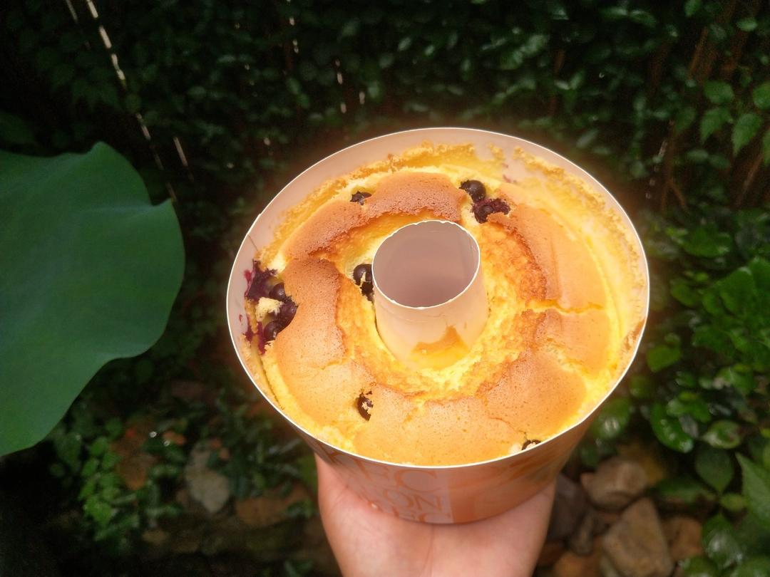 蓝莓戚风小蛋糕