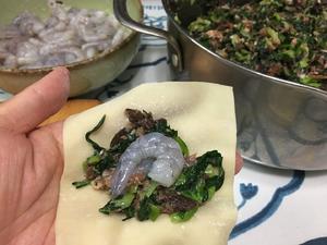 鲜虾菜肉馄饨的做法 步骤8
