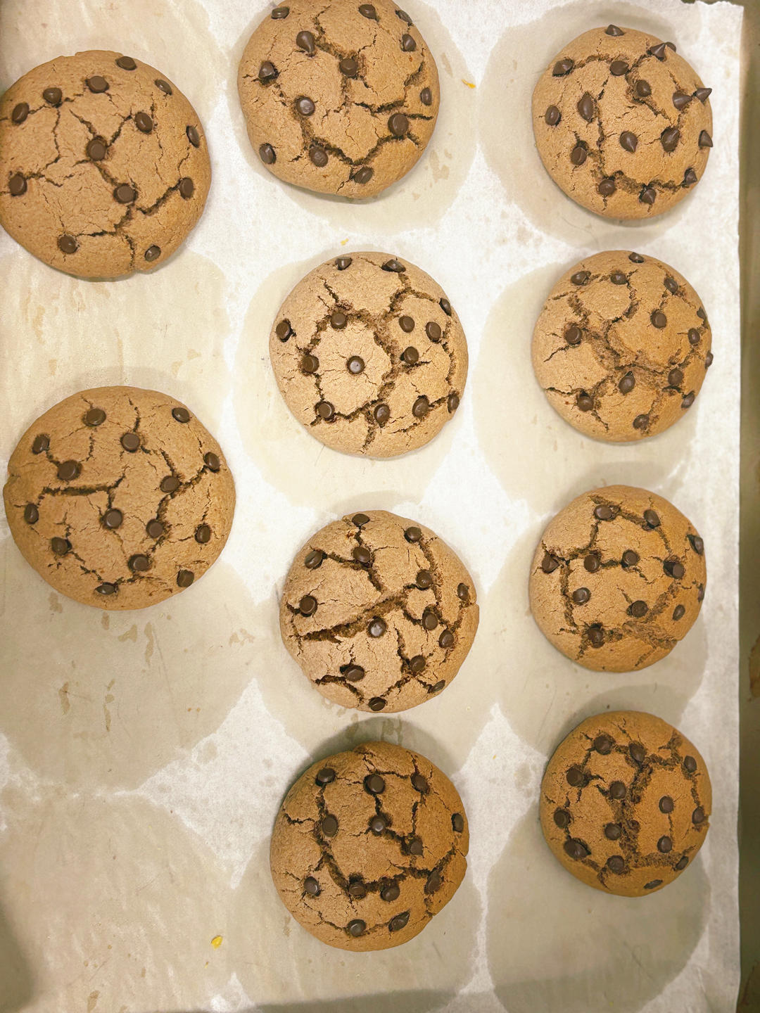 🍪巧克力曲奇｜免打发❗️零失败一次成功❗️