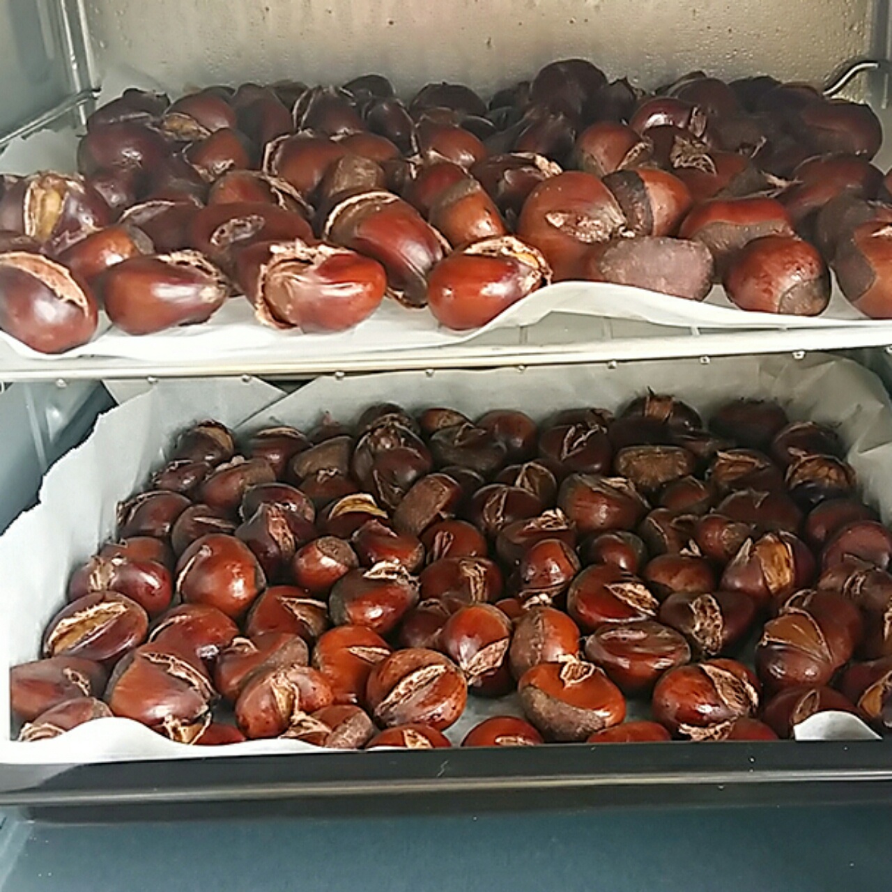 糖烤栗子（烤箱版）