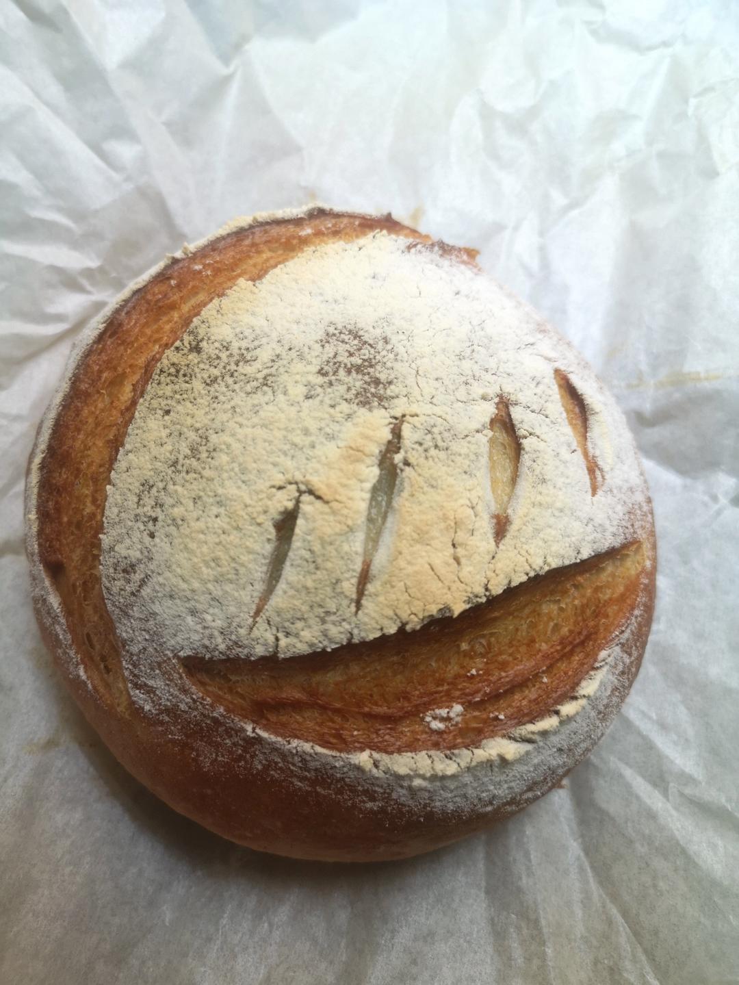 【外脆里软】小朋友都爱的无油无糖全麦酸奶乳清硬欧包乡村面包免手揉健身减脂