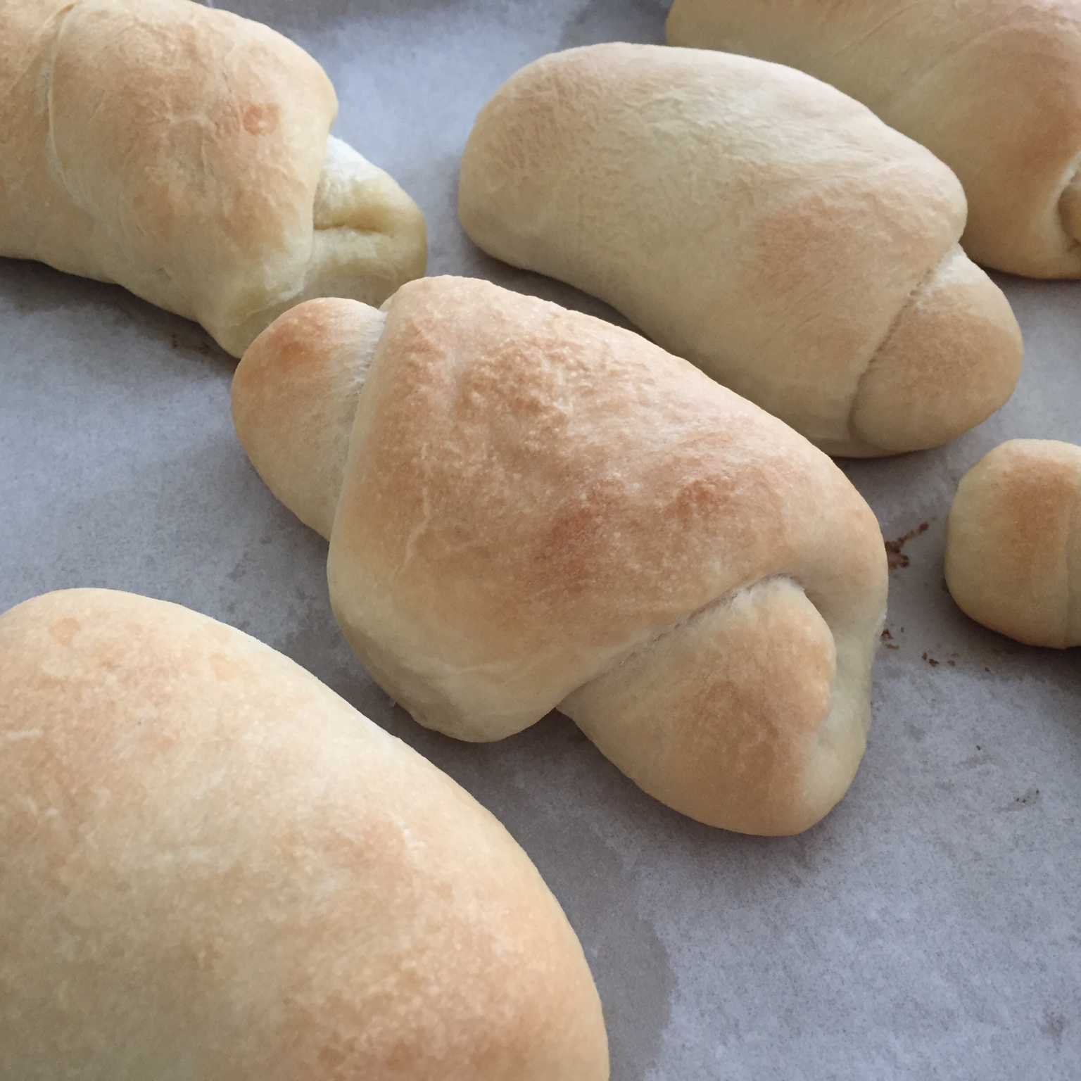 零失败盐面包（低油低糖，慢熟成，有机版）牛奶鸡蛋过敏者推荐使用
