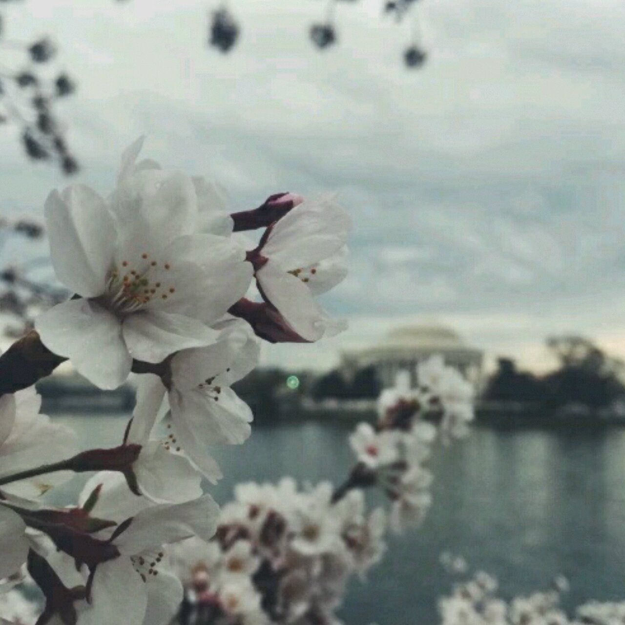 茶茶的菜的厨房