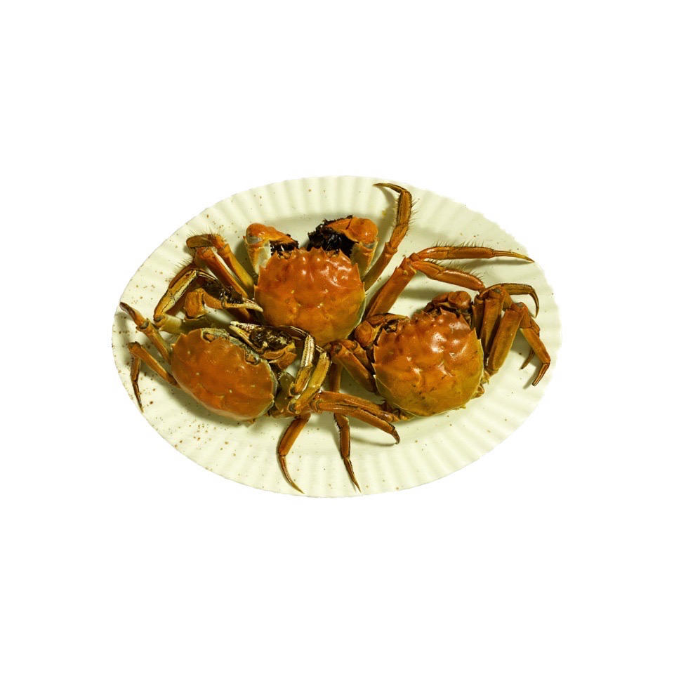 减脂餐记录