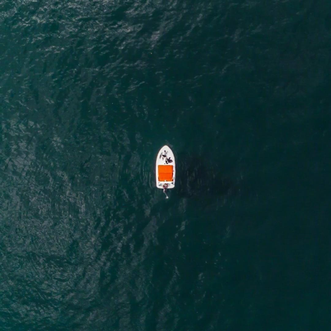 麻婆豆腐就是最好吃的