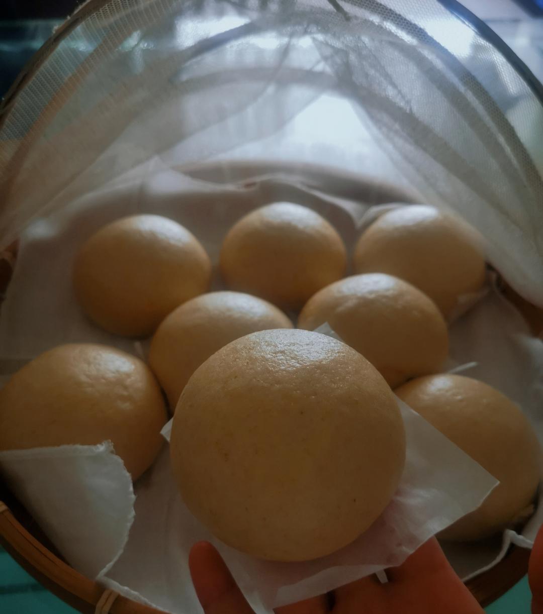 全麦馒头（一次发酵）