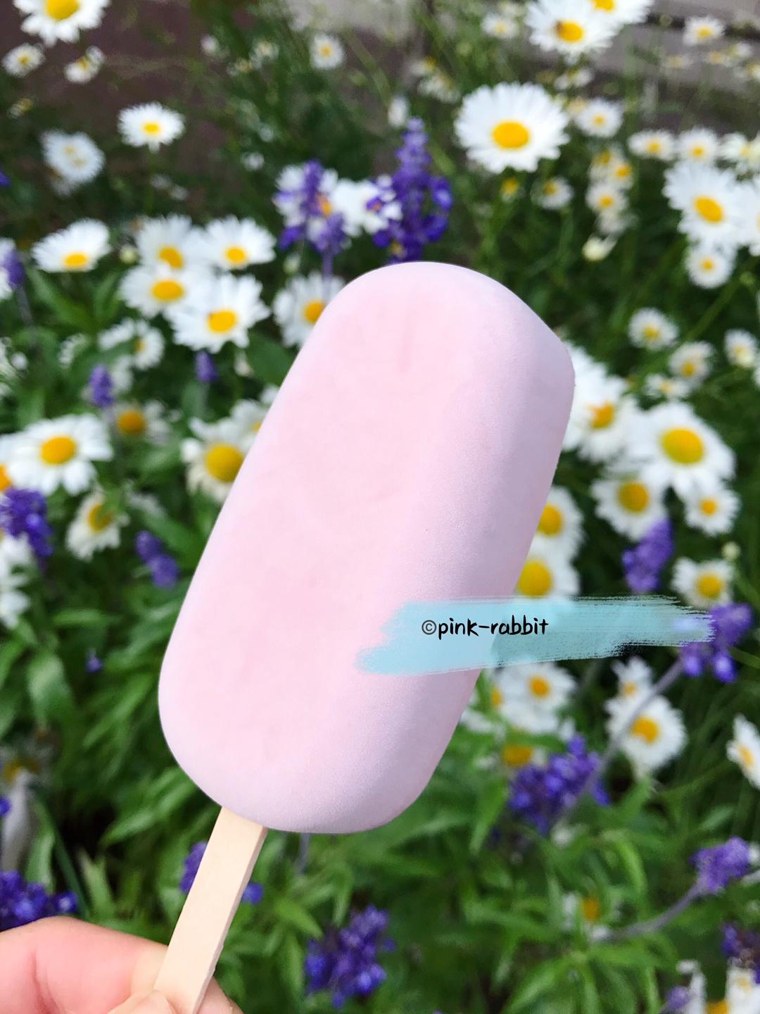 雪糕冰棍冰棒系列之树莓冰棒（粉色小清新版）by pink-rabbit的做法