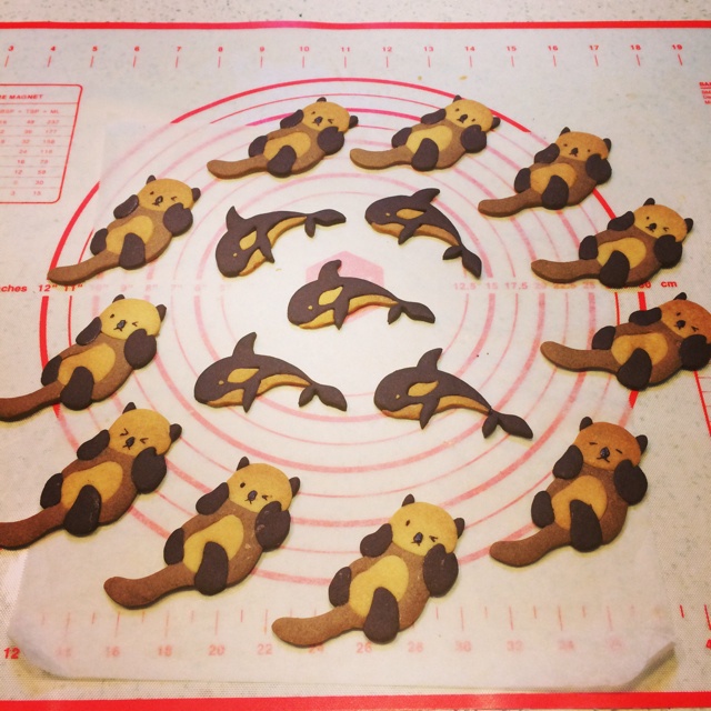 小浣熊饼干