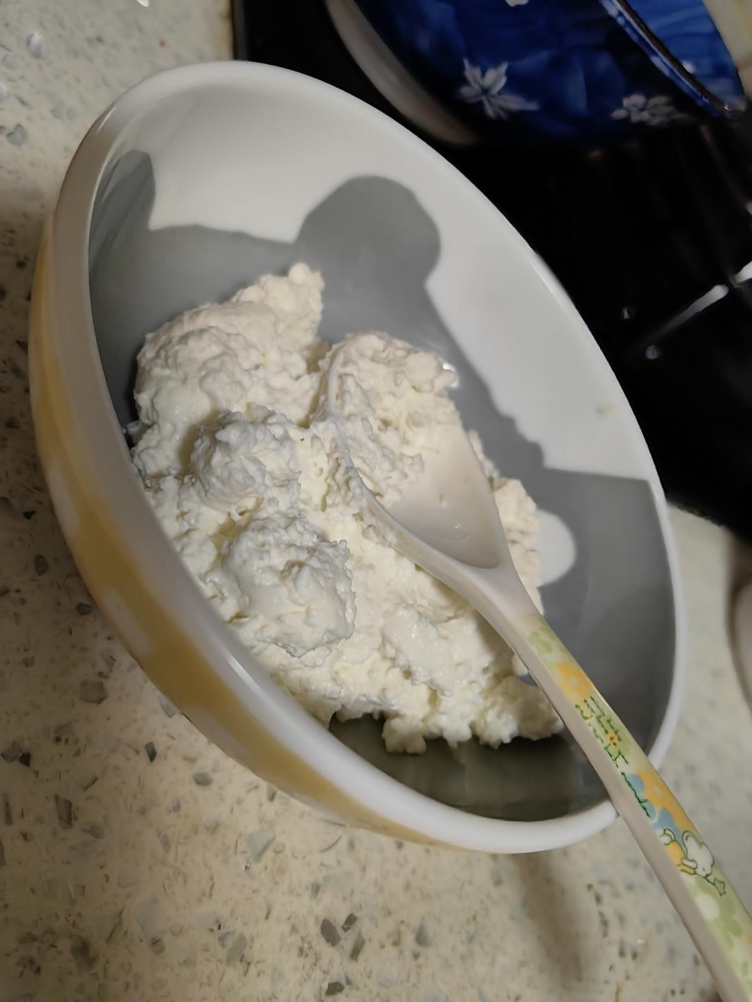 自制乳酪（10块钱出193克乳酪）