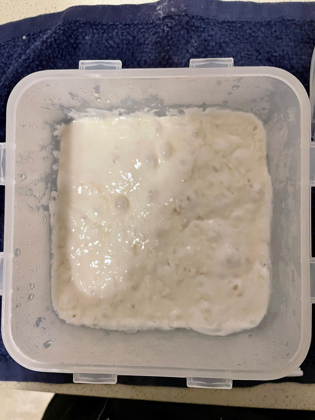 老面制作及使用方法