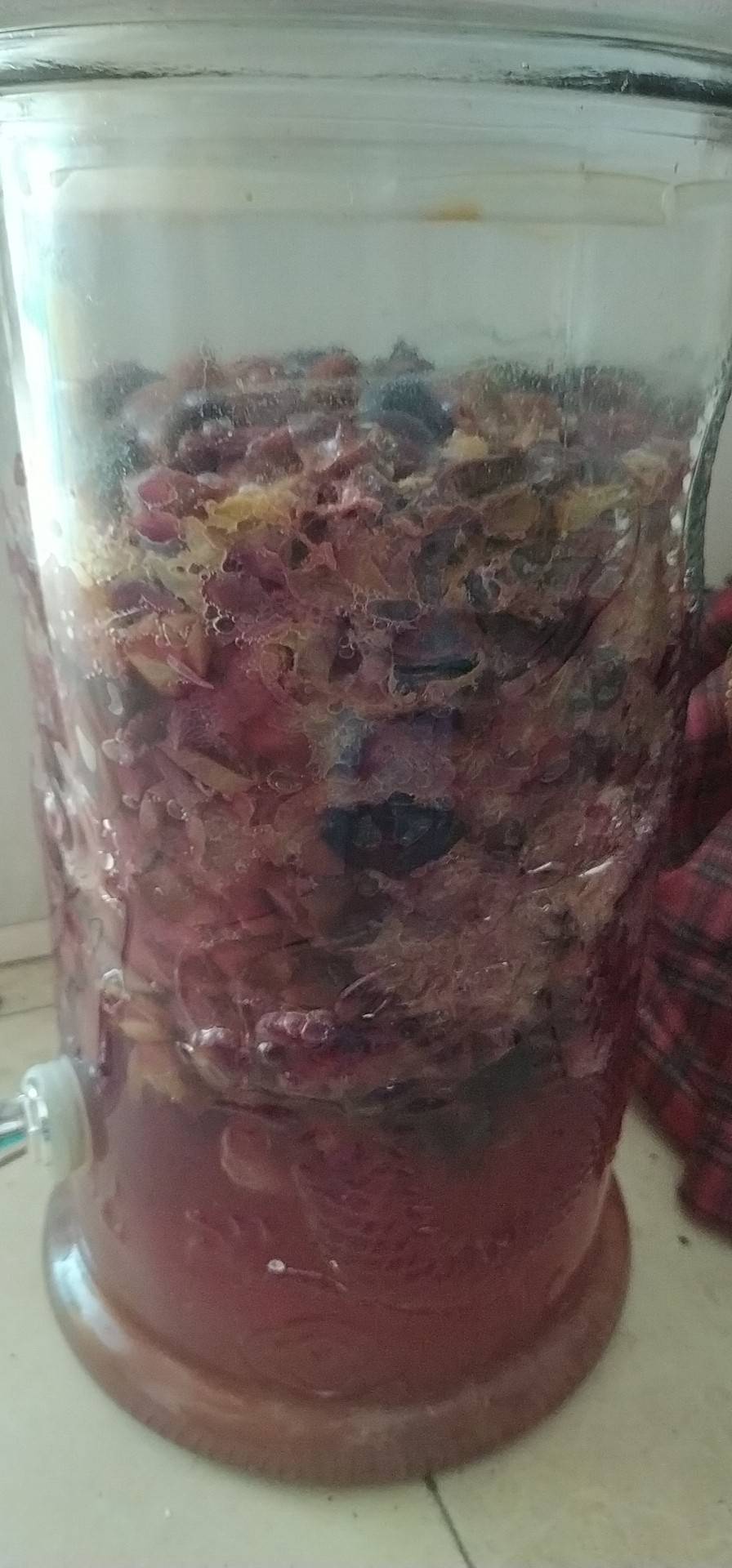 自酿葡萄酒