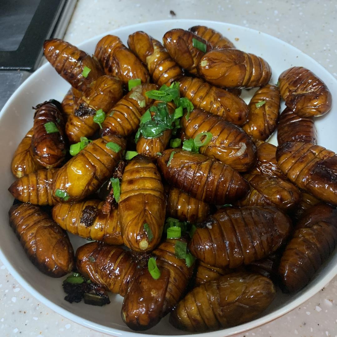 家常炒茧蛹
