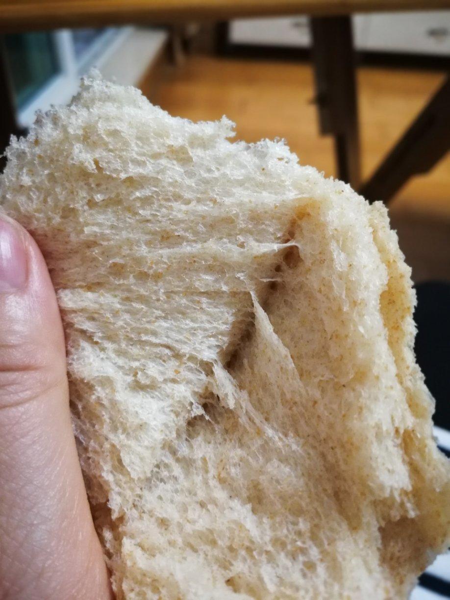 波兰种全麦吐司