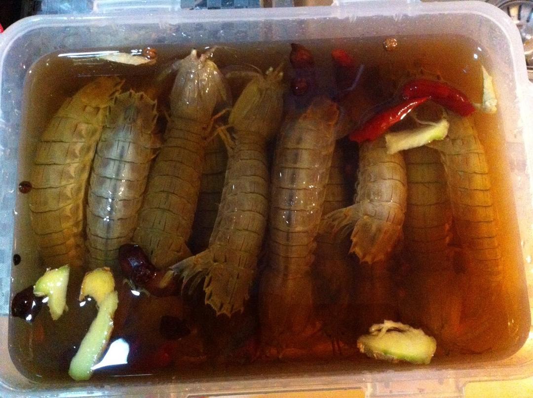 嘟嘟の菜—生腌皮皮虾（虾爬子）