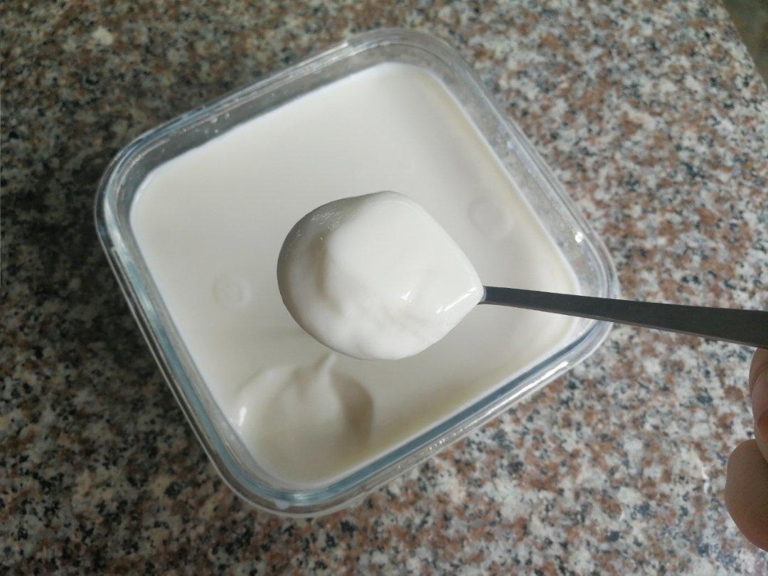 仅用牛奶+不插电电饭煲的自制酸奶！