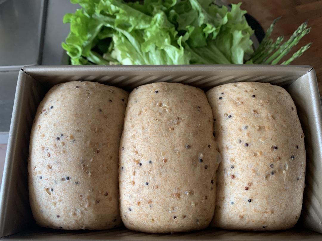 100%全麦三色藜麦吐司面包减脂必备健康主食三明治