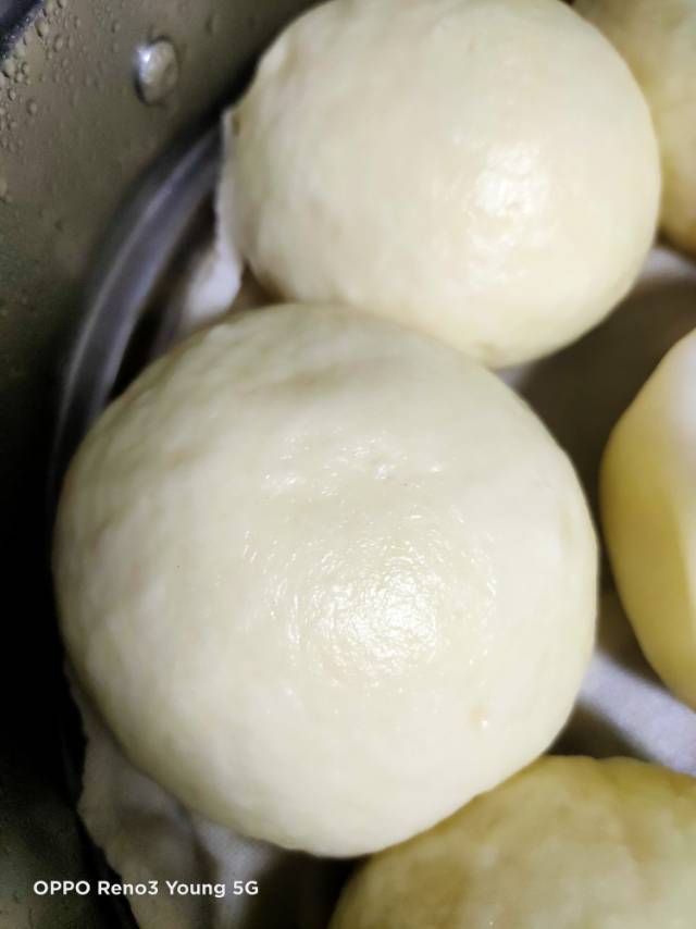 全家人都爱吃的基础白面馒头 蓬松煊软 光滑透亮 附细节视频详解