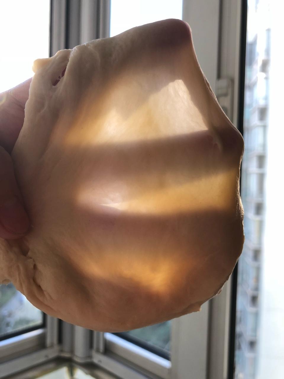 博世4405揉出手套膜记录