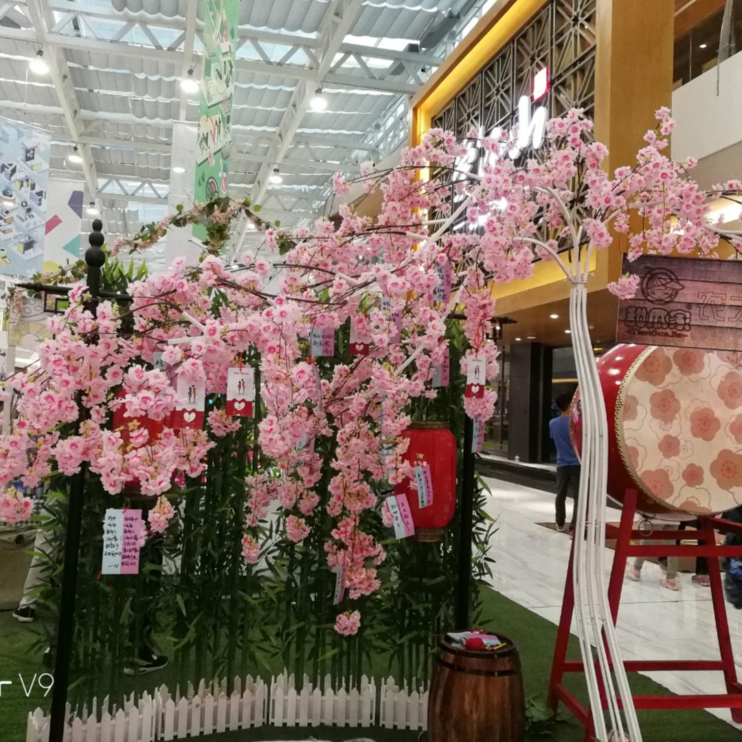 小张总