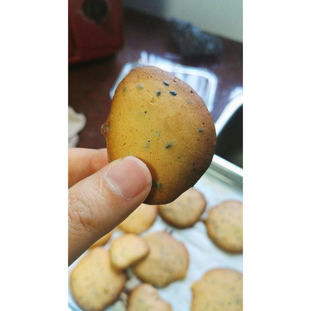 芝麻小脆饼