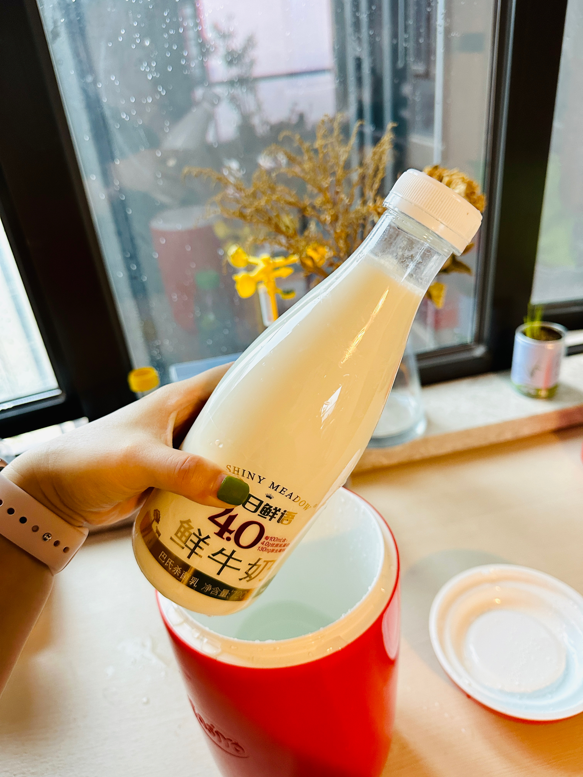 三步免消毒0失败超easy易极优桶再利用自制酸奶-免用酸奶粉
