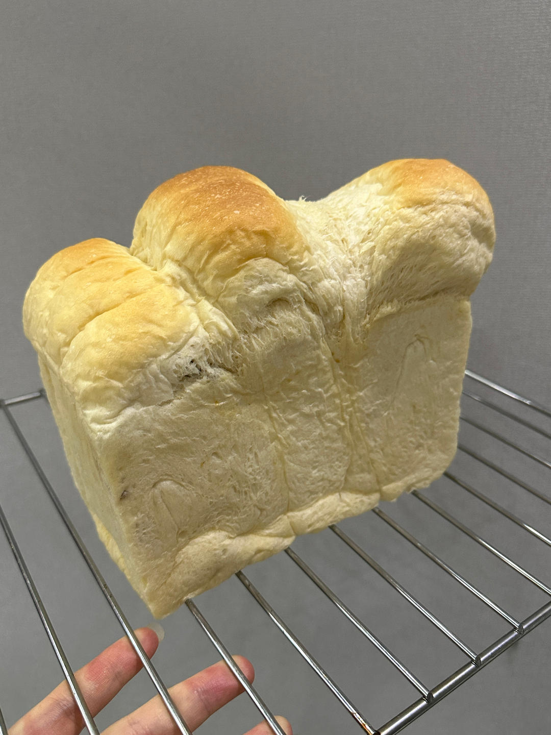 吴克己大师的手撕炼乳吐司