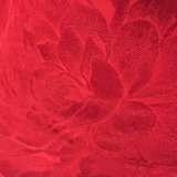 宝宝贝贝女马女马